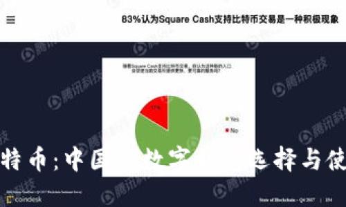 探索比特币:中国的数字钱包选择与使用指南