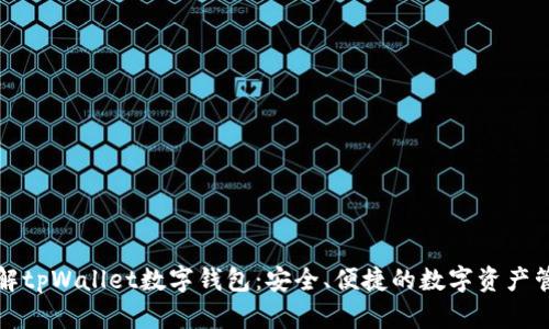 深入了解tpWallet数字钱包:安全、便捷的数字资产管理工具