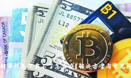 比特币钱包下载不了怎么办?解决方案与常见问题