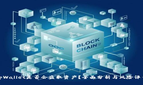 tpWallet是否会盗取资产?全面分析与风险评估