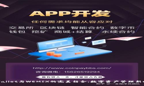 tpWallet与WEMIX的完美结合:数字资产管理新时代