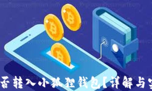 USDT能否转入小狐狸钱包?详解与实用指南