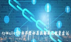 tpWallet价格不变的原因解析及投资建议