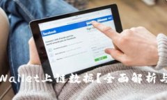 什么是tpWallet上链数据？全面解析与应用前景