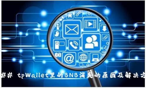 ### tpWallet里的BNB消失的原因及解决方法