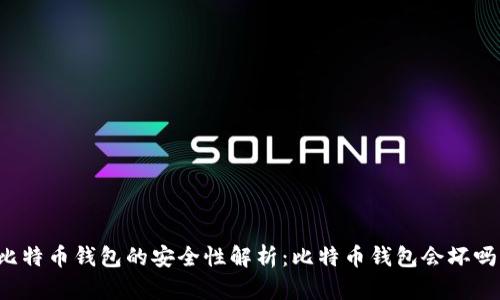 比特币钱包的安全性解析:比特币钱包会坏吗?