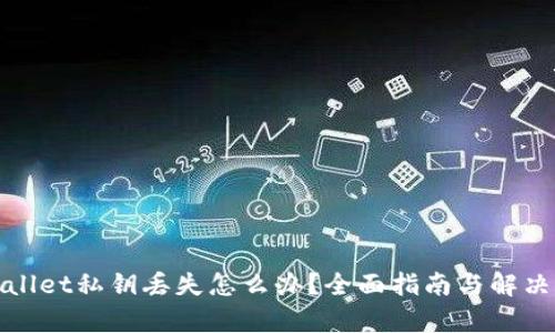 tpWallet私钥丢失怎么办?全面指南与解决方案