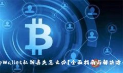 tpWallet私钥丢失怎么办？全面指南与解决方案