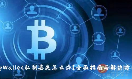 tpWallet私钥丢失怎么办?全面指南与解决方案