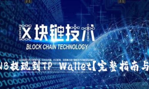 如何将BNB提现到TP Wallet?完整指南与注意事项