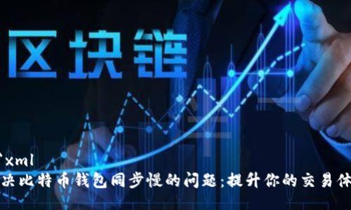 ```xml
解决比特币钱包同步慢的问题:提升你的交易体验