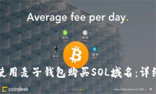 如何使用麦子钱包购买SOL域名:详细指南