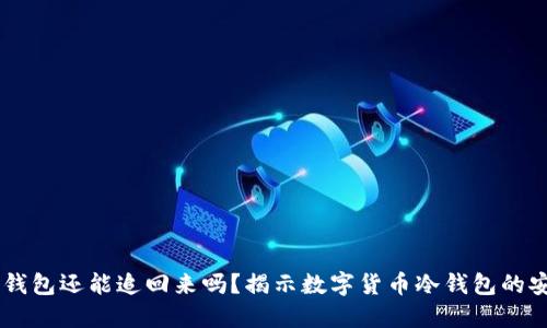USDT转入冷钱包还能追回来吗?揭示数字货币冷钱包的安全性与风险