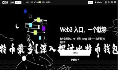 哪个钱包的比特币最多?深入探讨比特币钱包的种类与选择