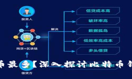 哪个钱包的比特币最多?深入探讨比特币钱包的种类与选择