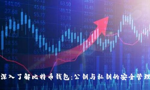 深入了解比特币钱包:公钥与私钥的安全管理