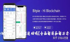 tpWallet币被盗能追回吗？全面解析和解决方案