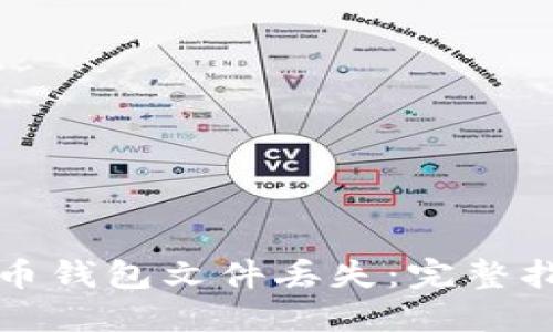 如何应对比特币钱包文件丢失:完整指南与解决方案