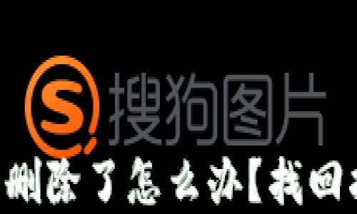 TP Wallet资产删除了怎么办?找回指南与解决方案