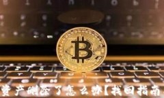 TP Wallet资产删除了怎么办？找回指南与解决方案