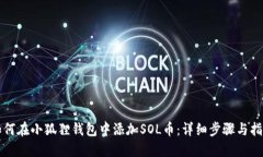 如何在小狐狸钱包中添加SOL币：详细步骤与指南