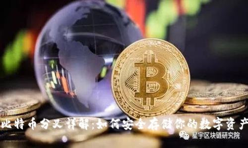 比特币分叉详解:如何安全存储你的数字资产
