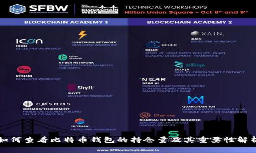 如何查看比特币钱包的持仓量及其重要性解析