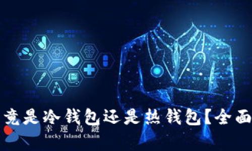 tpWallet究竟是冷钱包还是热钱包?全面解析和比较