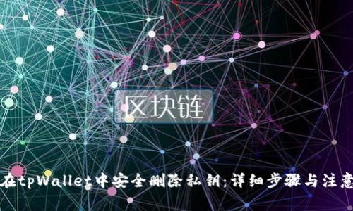 如何在tpWallet中安全删除私钥:详细步骤与注意事项