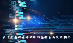 最适合存放屎币的冷钱包推荐与使用指南