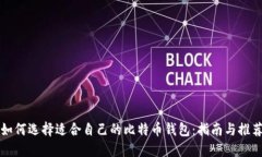 如何选择适合自己的比特币钱包：指南与推荐