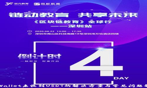tpWallet未收到USDT的解决方案与常见问题解析