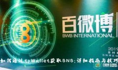 如何通过tpWallet获取BNB：详细指南与技巧
