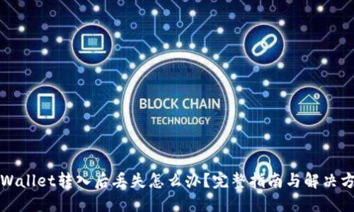 TPWallet转入后丢失怎么办?完整指南与解决方案