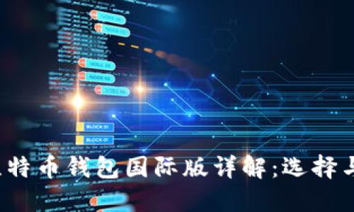 2023年比特币钱包国际版详解:选择与使用指南