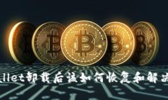 tpWallet卸载后该如何恢复和解决问题