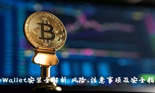 tpWallet安装全解析:风险、注意事项及安全指南