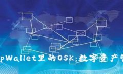 全面解析tpWallet里的OSK：数字资产管理新选择