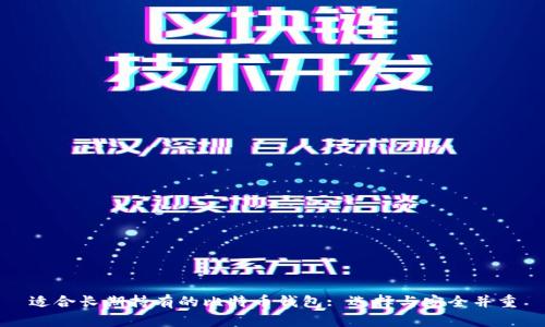 适合长期持有的比特币钱包: 选择与安全并重