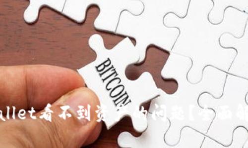 如何解决tpWallet看不到资产的问题?全面解析与解决方案