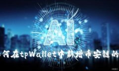 电脑上如何在tpWallet中新增币安链的详细指南