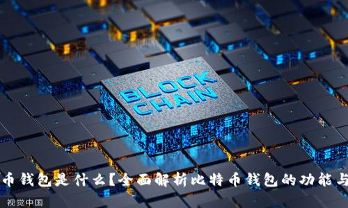 比特币钱包是什么?全面解析比特币钱包的功能与类型