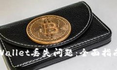 如何解决tpWallet丢失问题：全面指南与解决方案