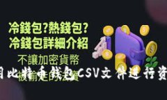 如何使用比特币钱包CSV文件进行资产管理？