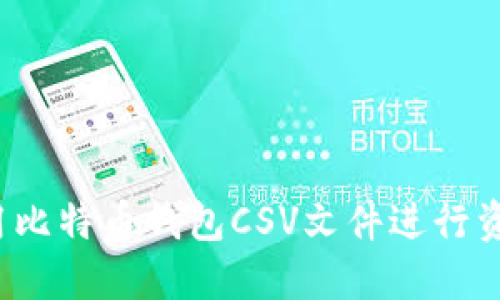 如何使用比特币钱包CSV文件进行资产管理?