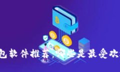 比特币钱包软件推荐：哪些是最受欢迎的选择？