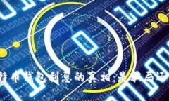揭开比特币钱包利息的真相：是骗局还是机遇？