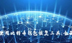 如何使用比特币钱包恢复工具：全面指南