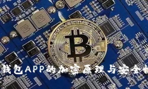 USDT钱包APP的加密原理与安全性分析