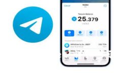 如何将USDT提现到TPWallet：详细步骤与常见问题解